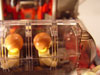 sandCrawler_013